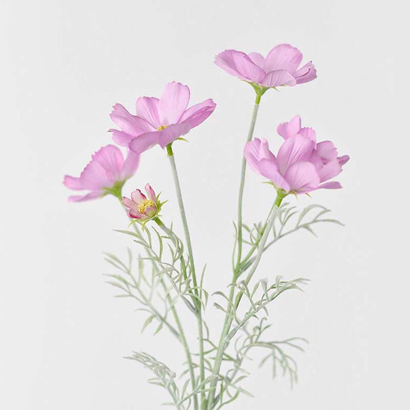Pink Silk Decorative Artificial Cosmos(Pack of 1 Branch)