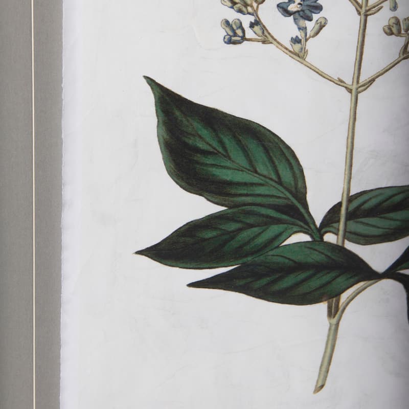 Soft Blue Botanicals IV Framed Art Print