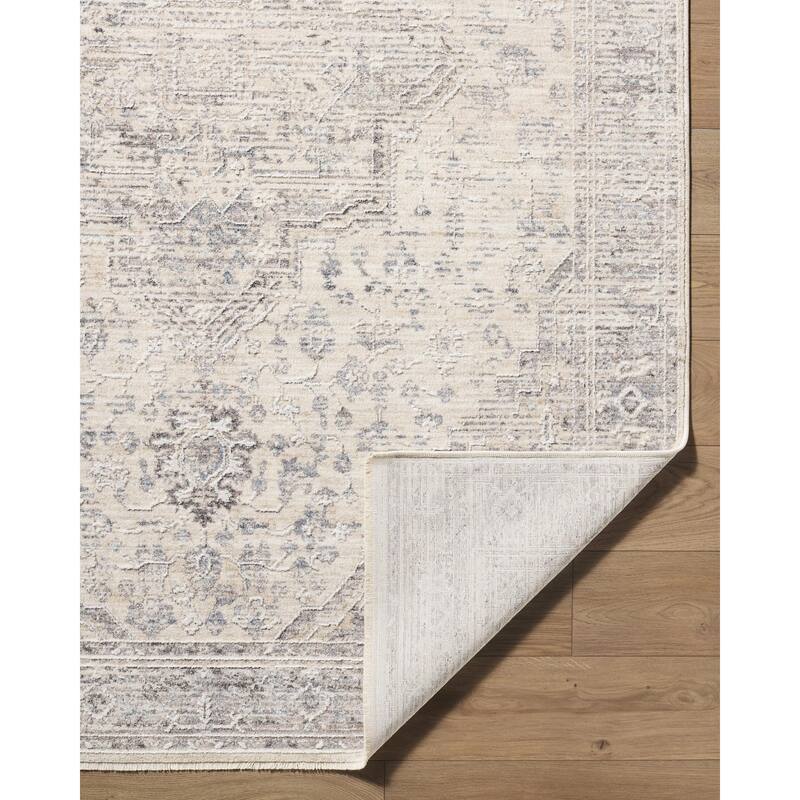Livabliss Seclusion Traditional Area Rug