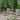 Outdoor 5 Piece Wood and Wicker Club Chair and Ottoman Set Light Gray