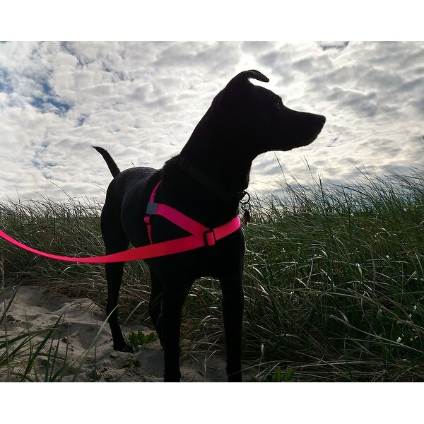 love harness for dogs