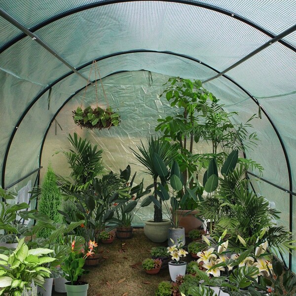 20′x10′x7′ Heavy Duty Greenhouse Large Plant Room Garden Dome Green House 