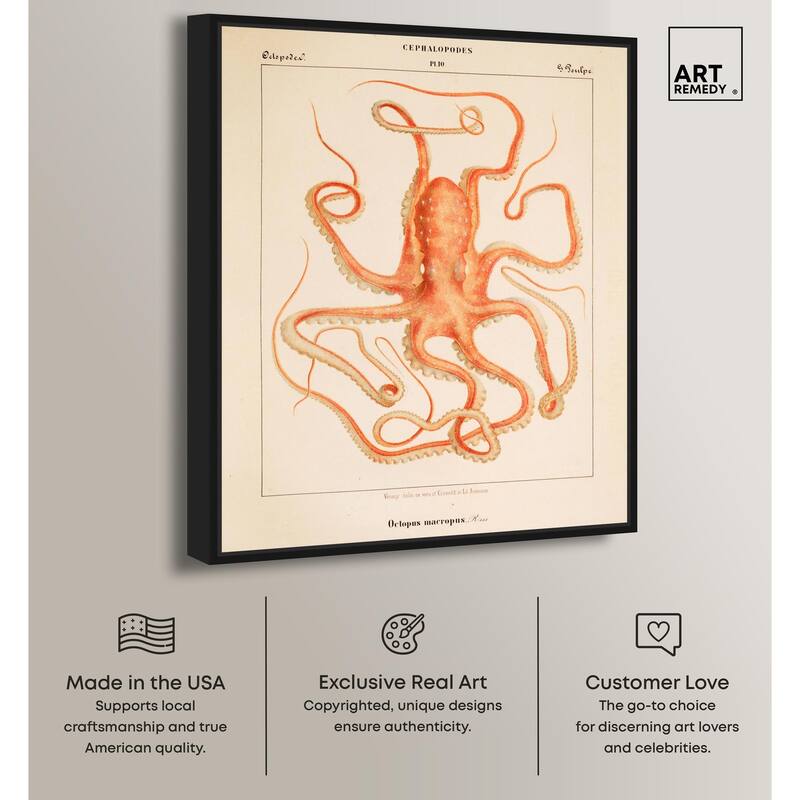 Verany The Octopus 1815 I Canvas by Art Remedy