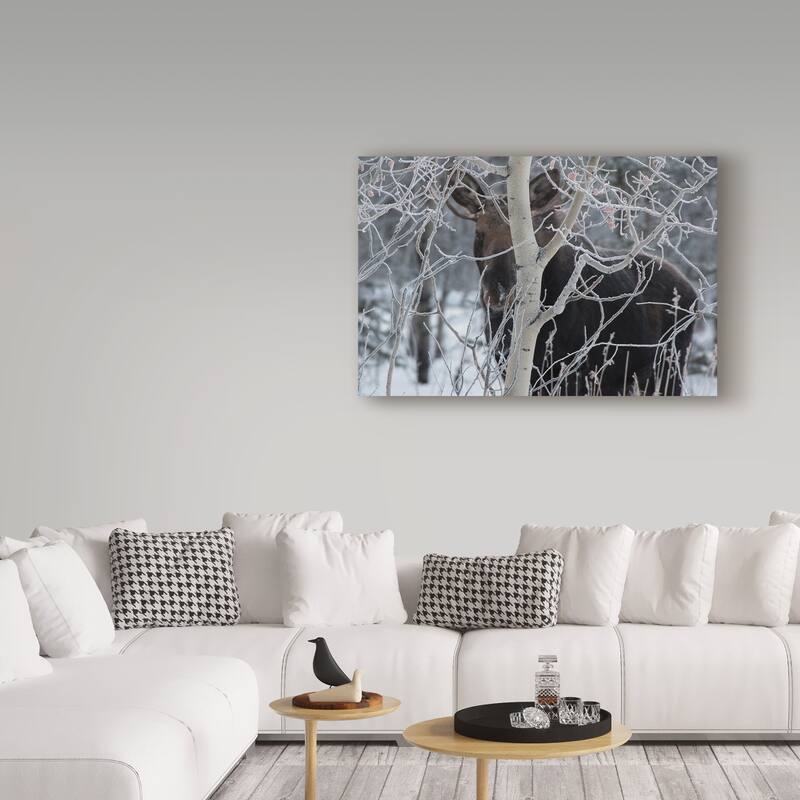 Brenda Petrella Photography Llc 'Hiding Moose' Canvas Art