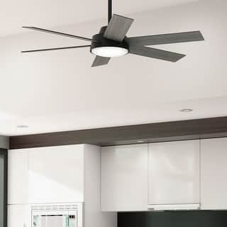 Hunter 52" Donatella Ceiling Fan with LED Light Kit and Handheld Remote - Transitional, Mid-Century, Modern