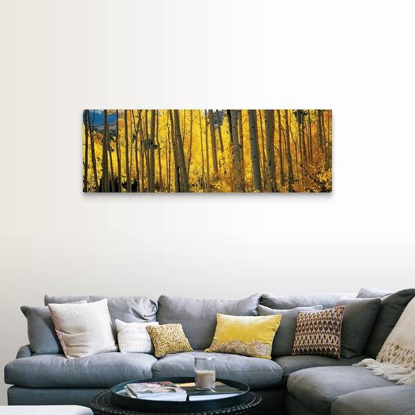Shop Aspen Trees In Autumn Colorado Canvas Wall Art Free