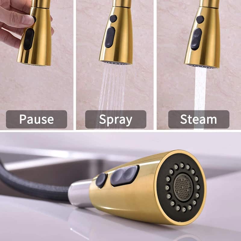 BATHLET Single Handle High Arc Pull Out Kitchen Faucet with Pull Down Sprayer