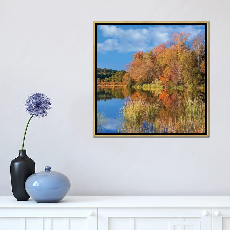 iCanvas "Autumn Along Lake, Tyler State Park, Texas" by Tim Fitzharris Framed Canvas Print