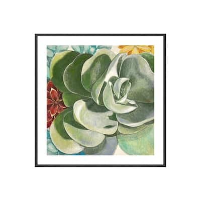 Brilliant Succulents IV Framed Print Wall Art by Norman Wyatt Jr.