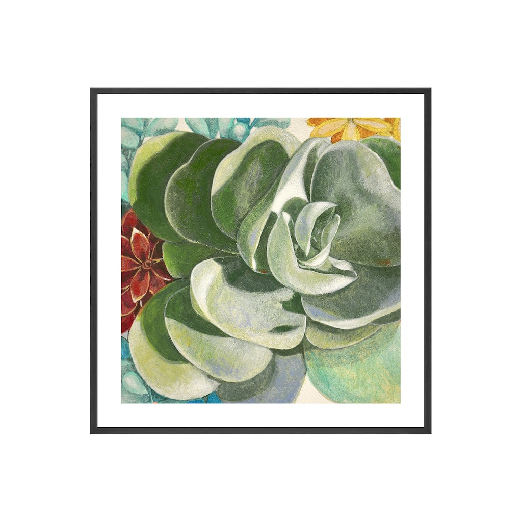 Brilliant Succulents IV Framed Print Wall Art by Norman Wyatt Jr.