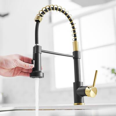 Modern Black Spring Single-handle Pull-down Kitchen Sink Faucet