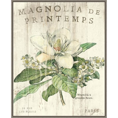 Magnolia de Printemps by Sue Schlabach Framed Canvas Wall Art Print