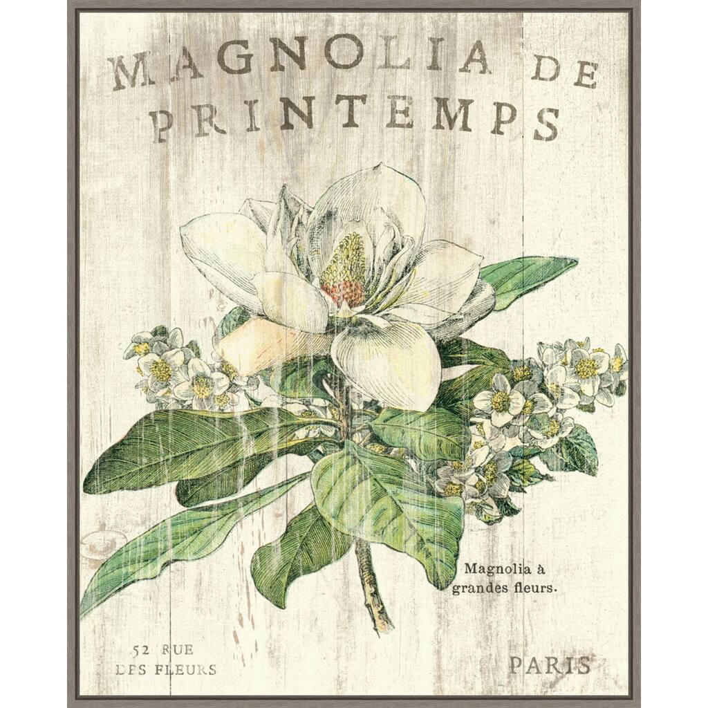 Magnolia de Printemps by Sue Schlabach Framed Canvas Wall Art Print