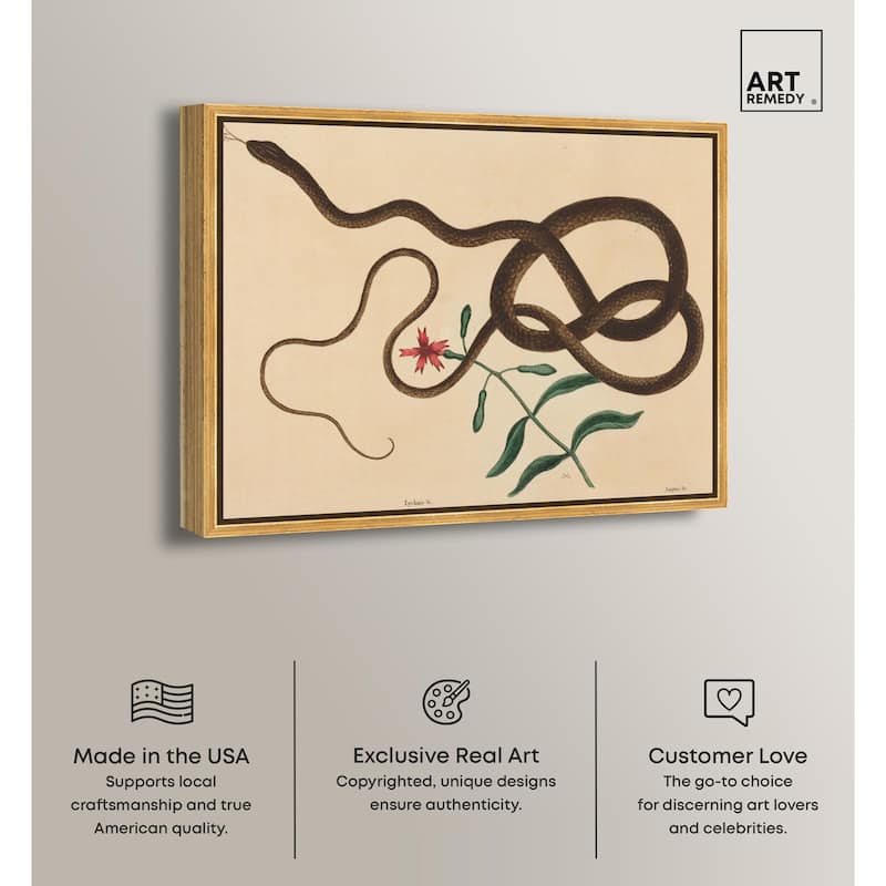 The Coach Whip Snake 1743 Canvas by Art Remedy