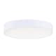Option White
