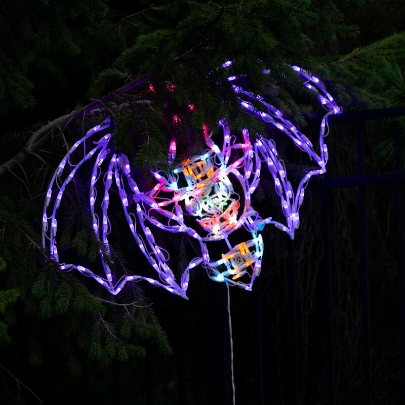 Halloween Witch Bat Metal Frame