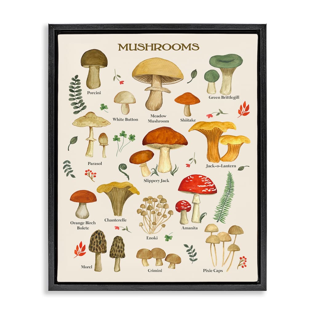 Stupell Foraging Mushrooms Studies Framed Floater Canvas Wall Art Design by Sharon Lee