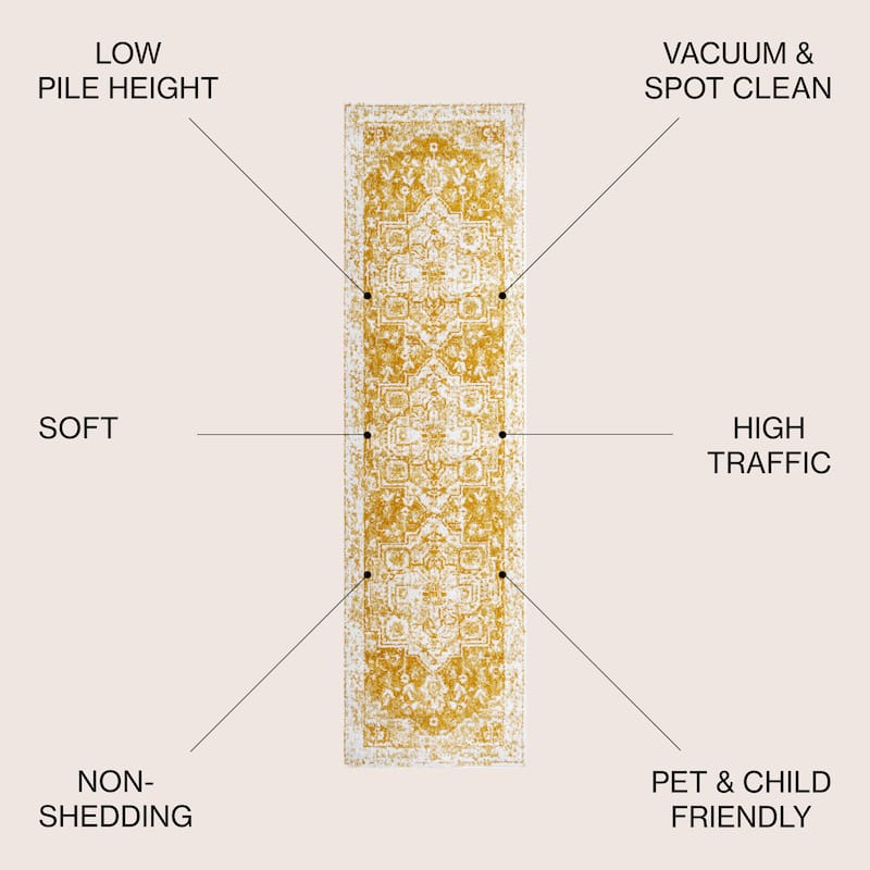JONATHAN Y Izil Bohemian Ornate Medallion Area Rug
