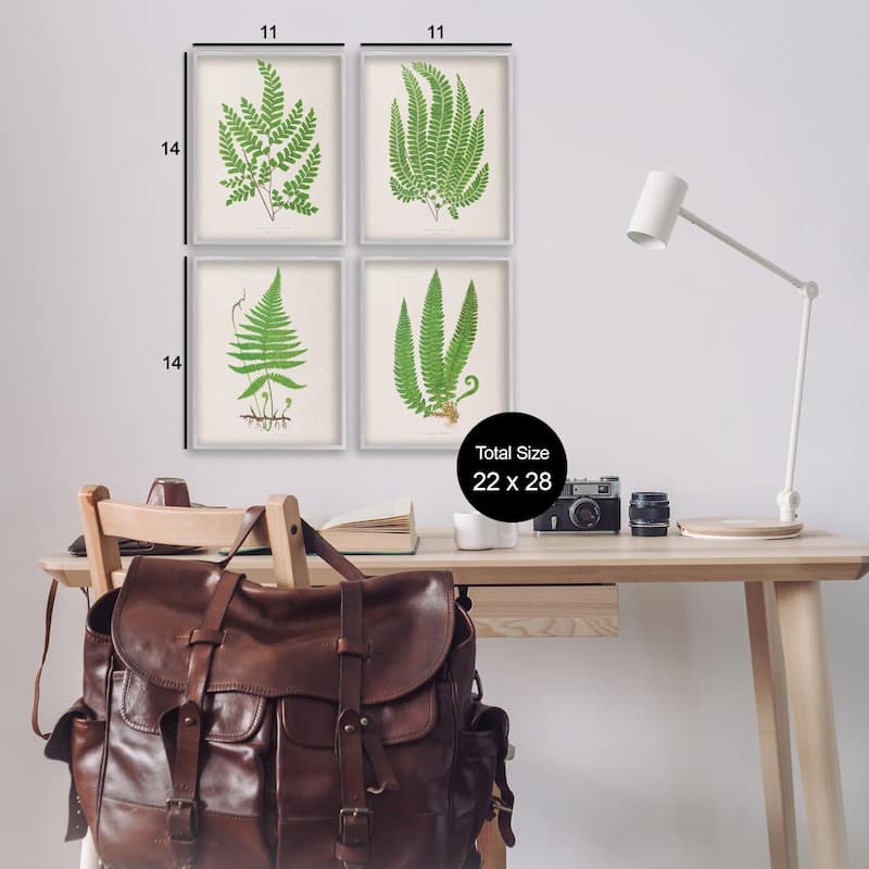 Stupell Subtle Green Fern Branches Framed Giclee Art Design By Phillipa Katz (Set of 4)