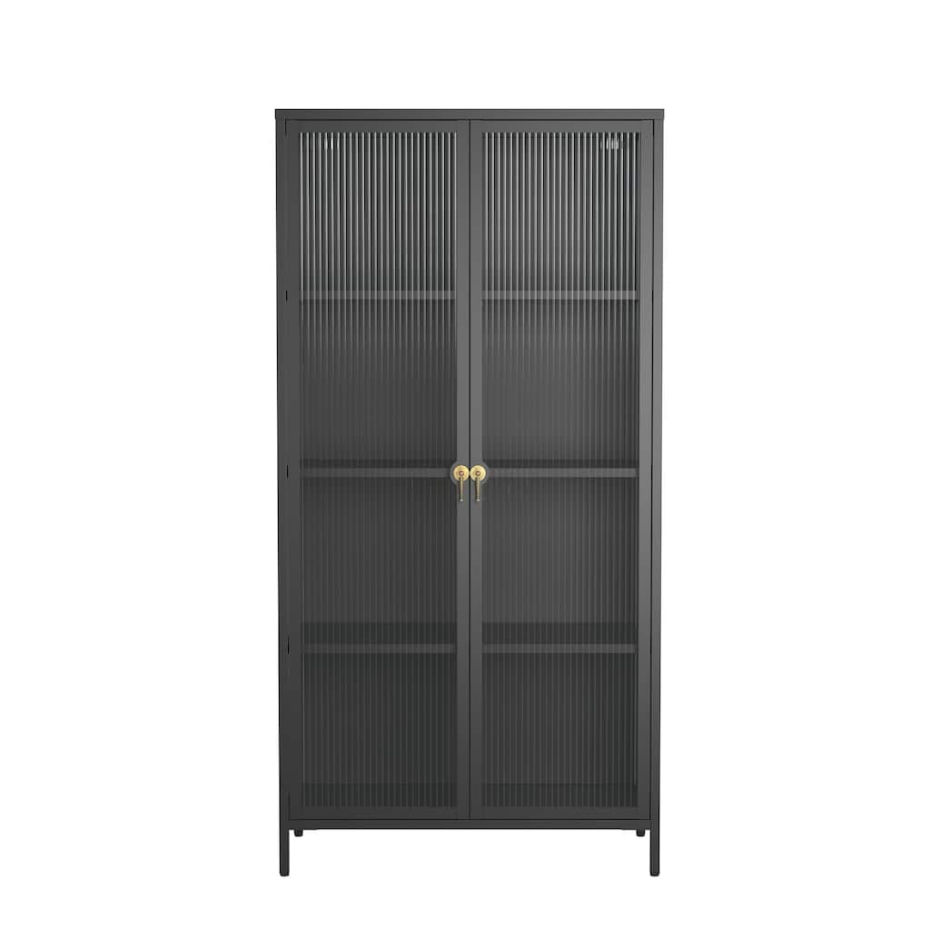 Benoite 63.05-inch Black Two Door Metal Storage Cabinet with Fluted Clear Doors and Gold Handles - 63.05