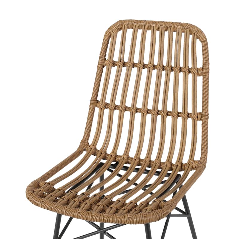 Assisi Wicker Dining Chairs (Set of 2) by Christopher Knight Home