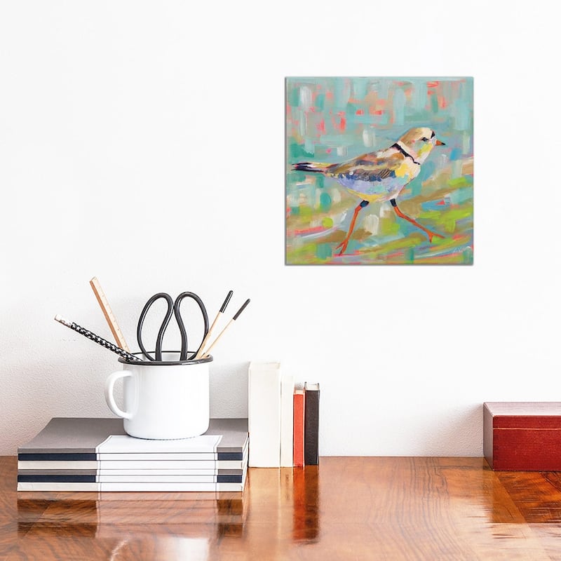 iCanvas "Coastal Plover I" by Jeanette Vertentes Canvas Print - 12x12x0.75