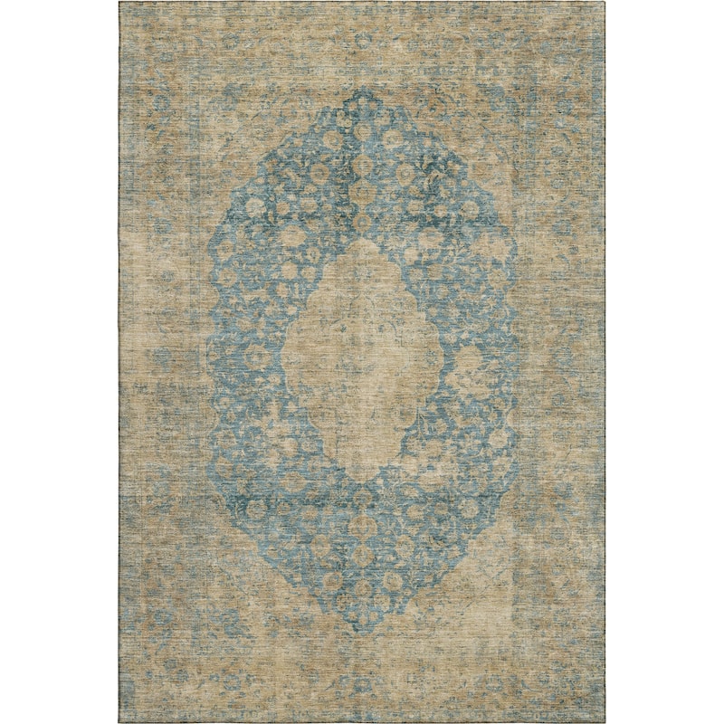 Premium Washable Super Soft Vintage Traditional Mayfield Rug