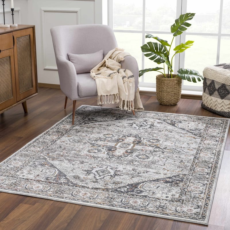 Hauteloom Liverpool Living Room, Bedroom Area Rug - Traditional - Charcoal,Medium Gray,Light Gray - 2' x 3'