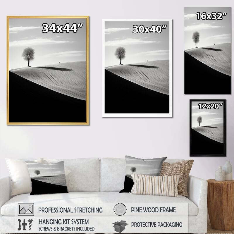 Designart "Black And White Meadow Horizon Photo I" Meadow Framed Wall Art Prints