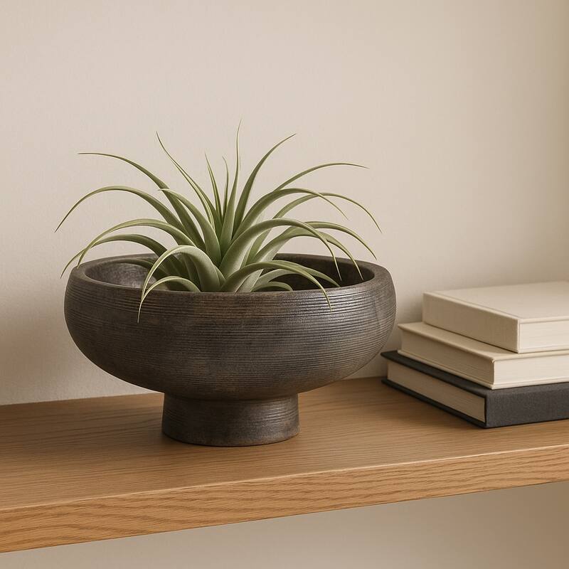 Round Textured Terracotta Decorative Bowl - Home Decor - 14", Black - 14.75"