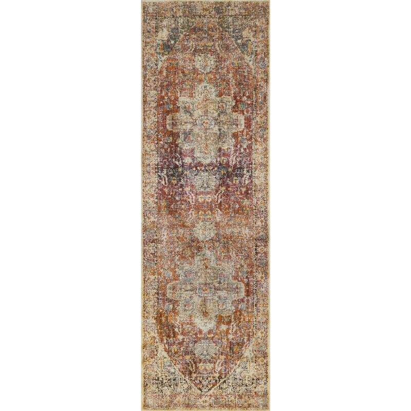 Alexander Home Genova Distressed Medallion Area Rug