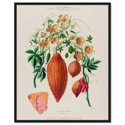 Momordica Exotic Floral Flore Canvas by Art Remedy