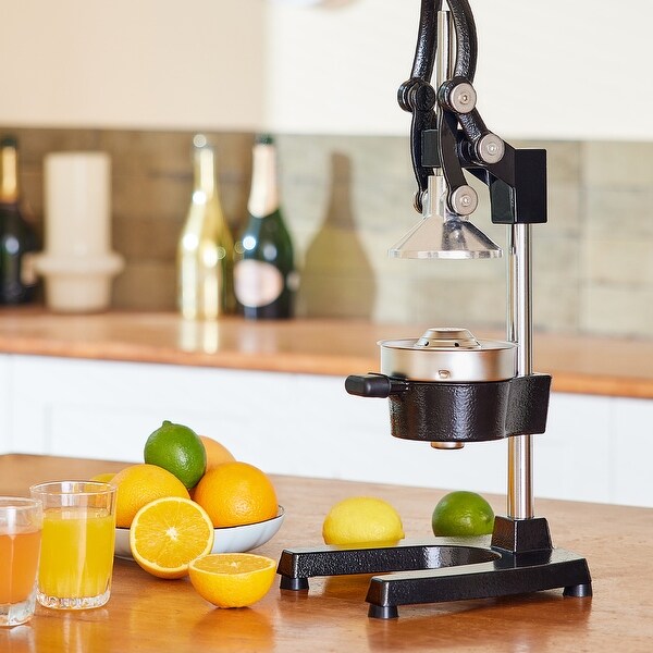 Hand juicer for all fruits cheap