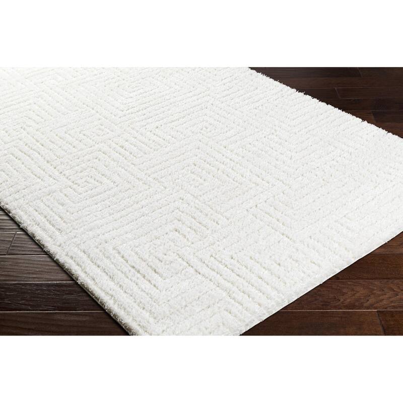 Livabliss Nomadic Casual Area Rug