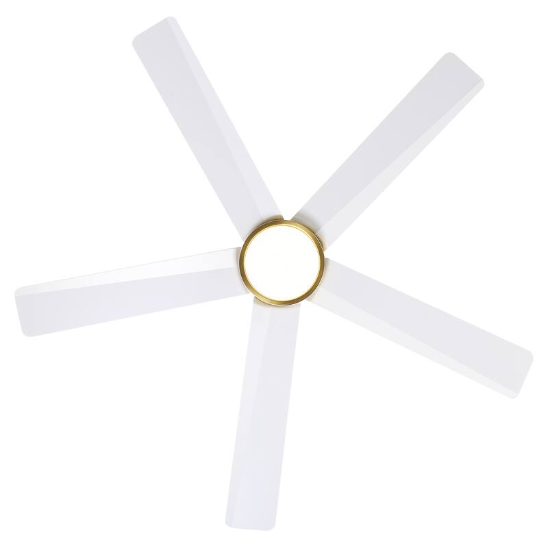 Breezary 65"/52"/42" 5-Blade LED Ceiling Fan with Light Kit and Remote