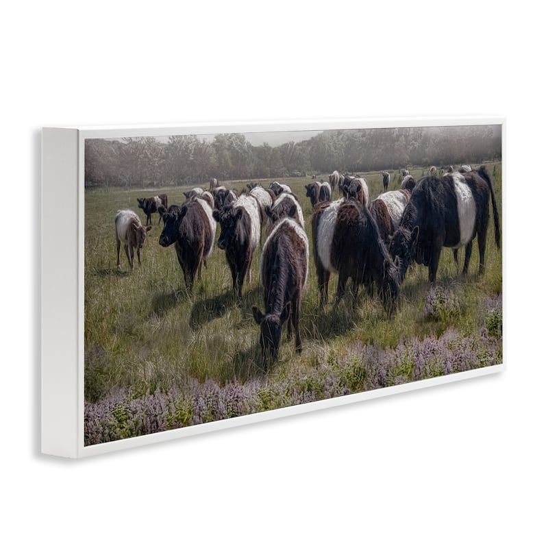 Stupell Black Cows Grazing in Pasture Framed Giclee Art Design By Robin-Lee Viera