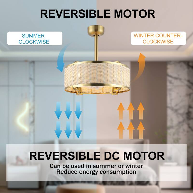 WINGBO Caged Ceiling Fan with Lights, Indoor 6 Speeds Reversible Ceiling Fans with Remote Control