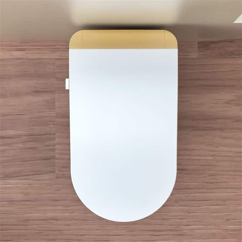 Smart Toilet with Bidet & Auto Flush