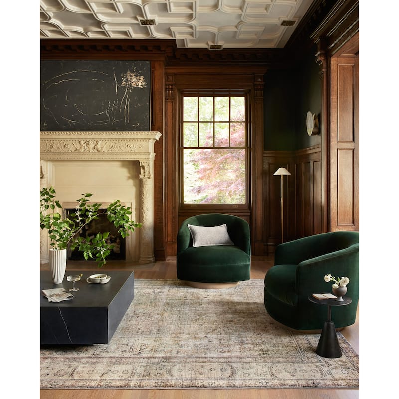 Alexander Home Sara Antique Ultra Plush Area Rug