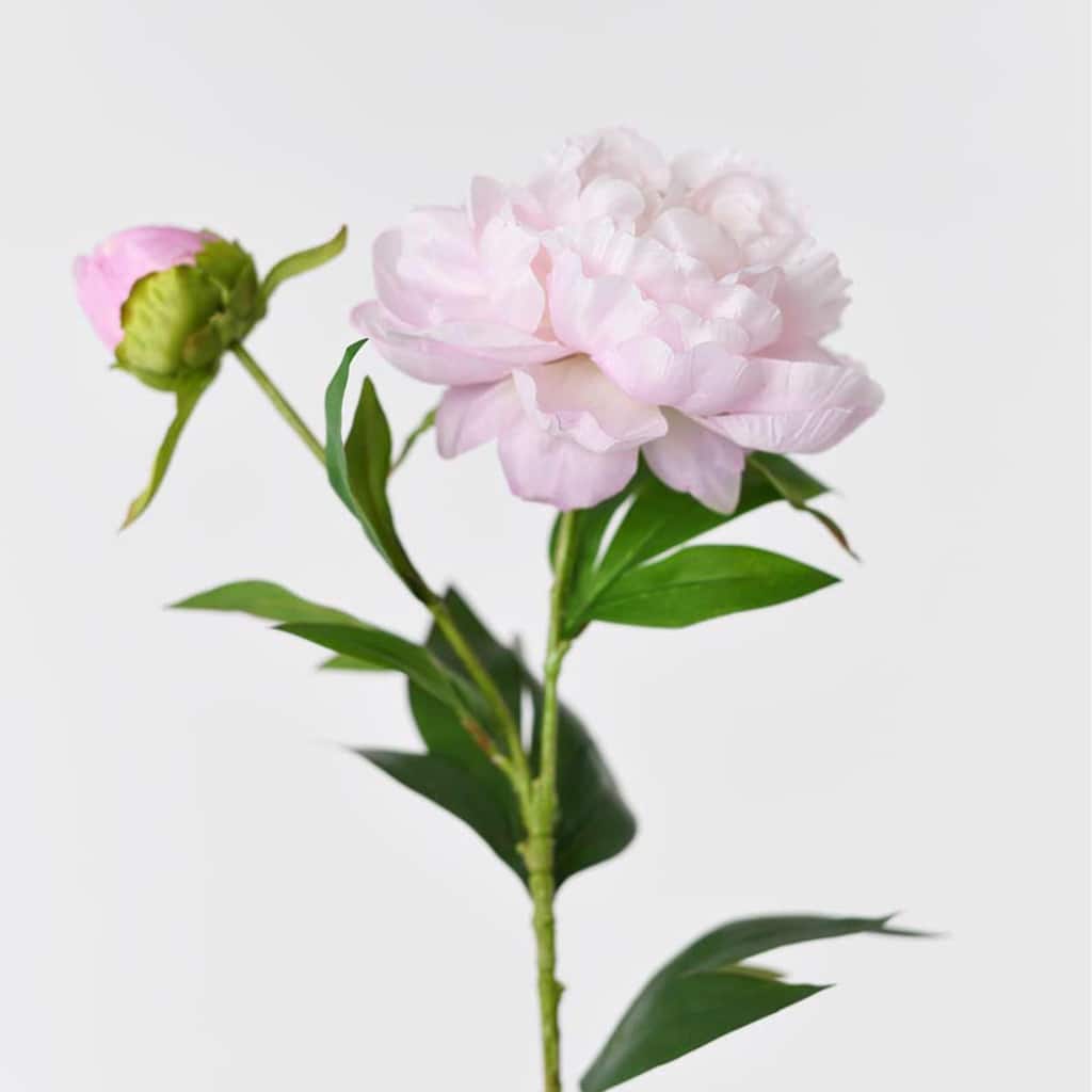 Silk Decorative Artificial Phoenix Peony(Pack of 1 Branch)