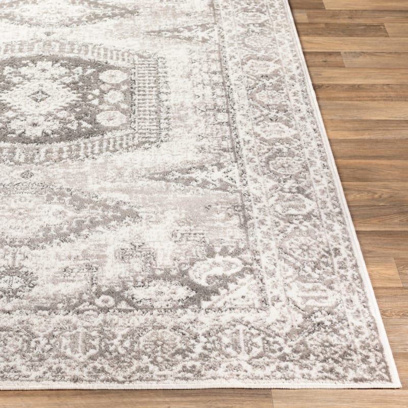 Artistic Weavers Fabrice Vintage Persian Medallion Area Rug
