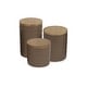 preview thumbnail 42 of 44, Retro Vine Texture Ceramic Canister (Set of 3) 2 Cup/2.5 Cup/3.5 Cup Capacity - Mushroom Vine