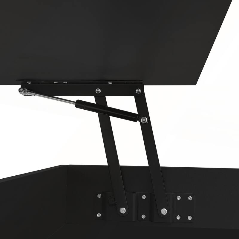 Modern Lift-Top Coffee Table with 2 Drawers