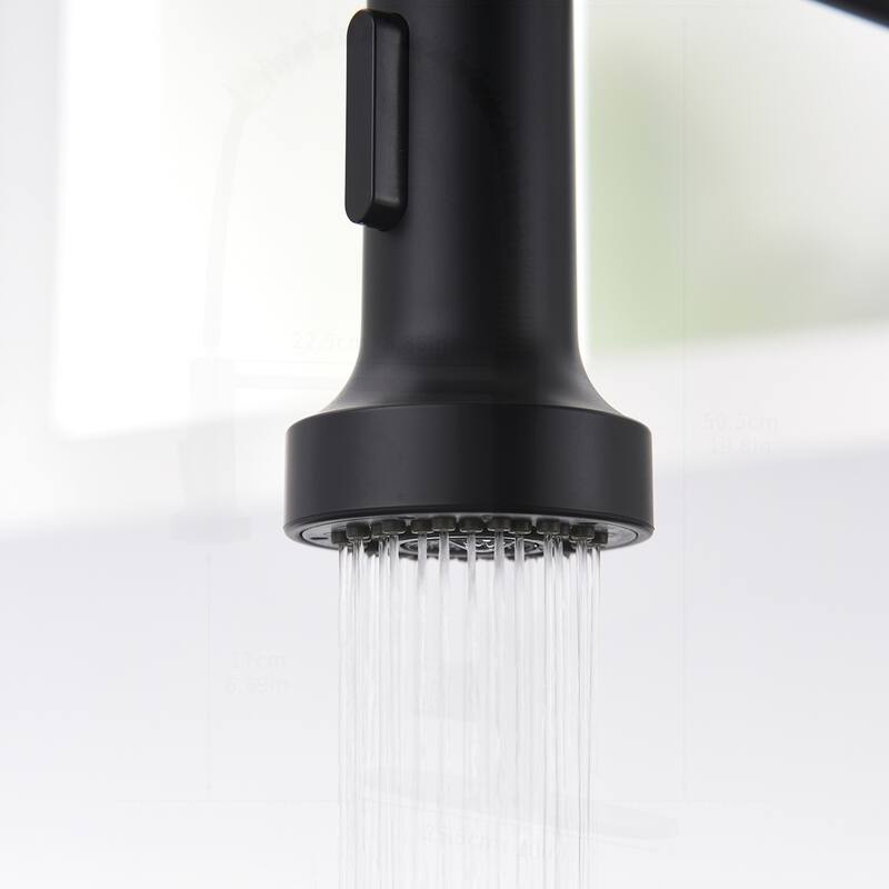 Commercial Kitchen Faucet with Pull Down Sprayer