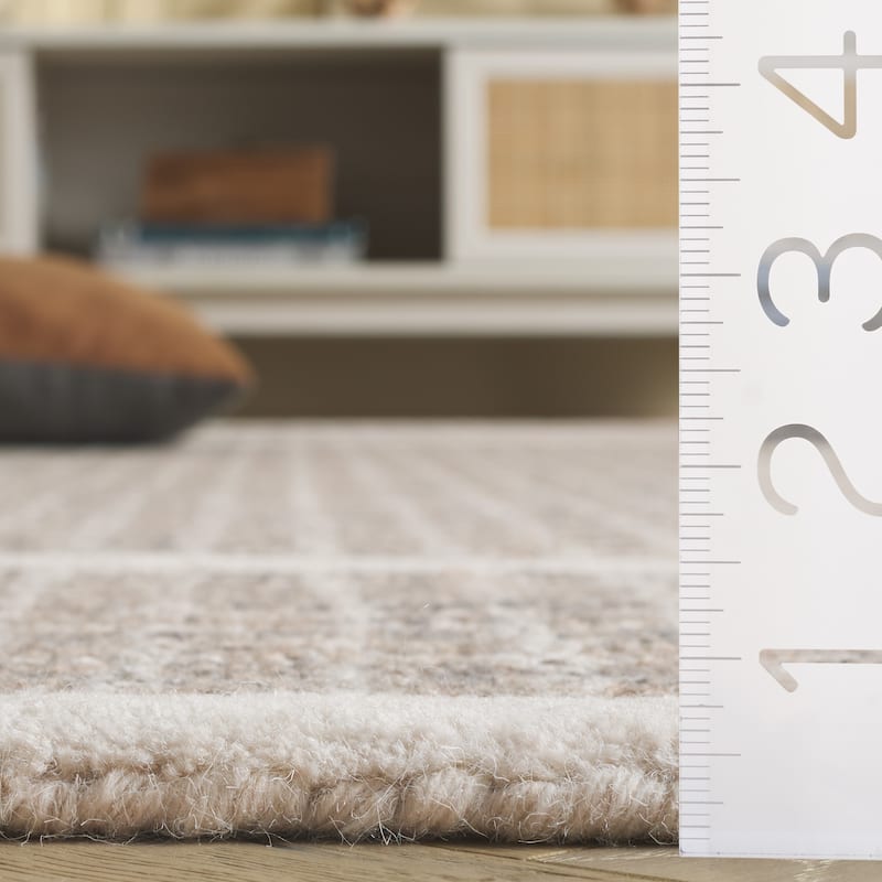 SAFAVIEH Handmade Pine Gennarina Modern Wool Rug