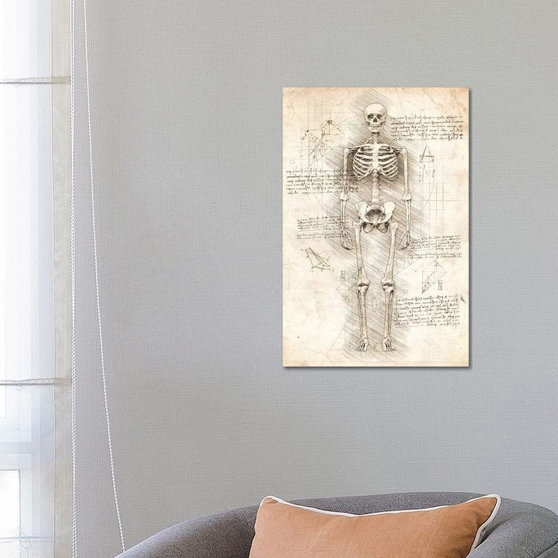 iCanvas "Human Skeleton" by Cornel Vlad Canvas Print - 26x18x1.5