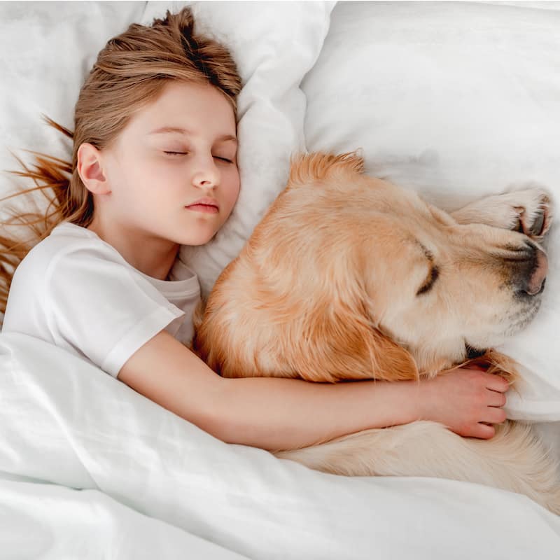 Bare Home Waterproof Breathable Cotton Mattress Protector