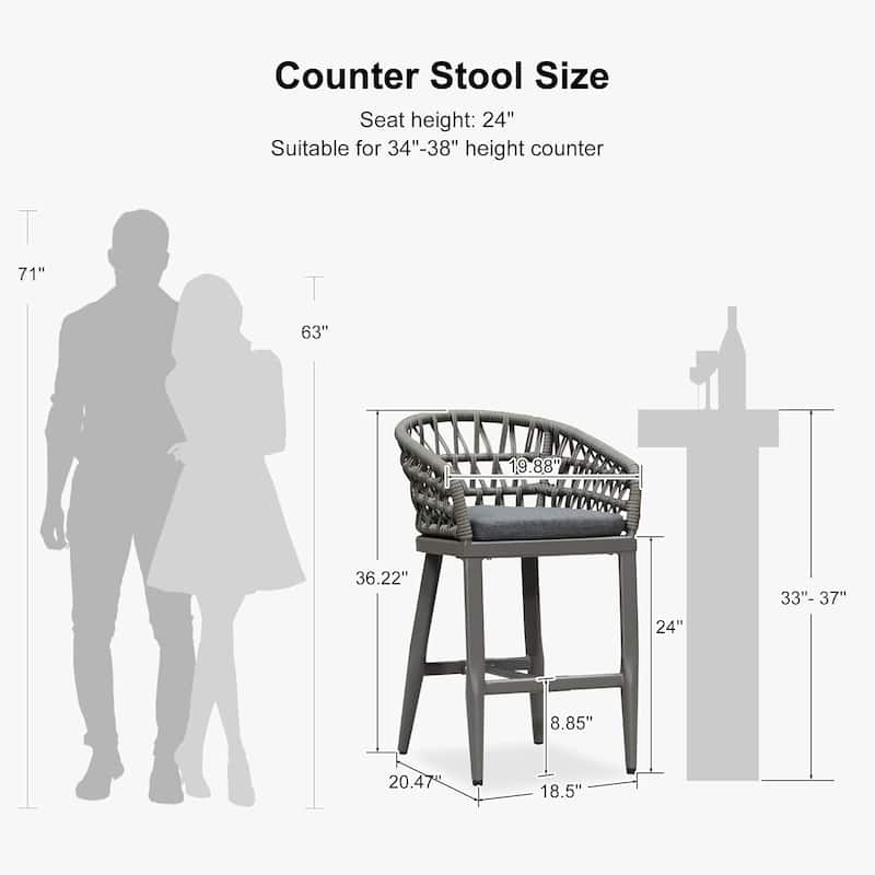 PURPLE LEAF Outdoor Dining Chairs Set of 2 Patio Bar Stools