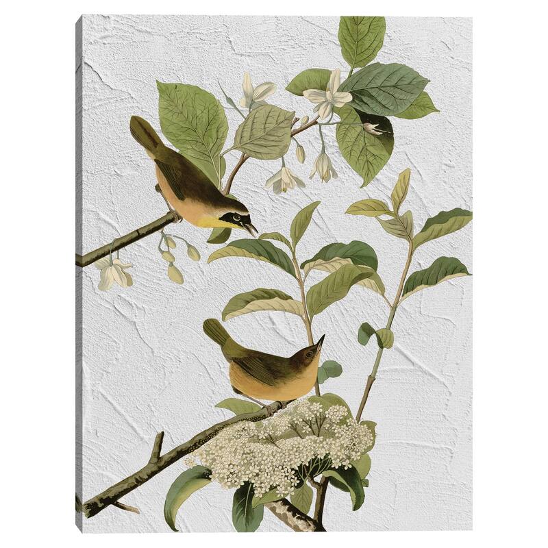 Audubon Yellow Breasted Warbler Texture Canvas Art Print