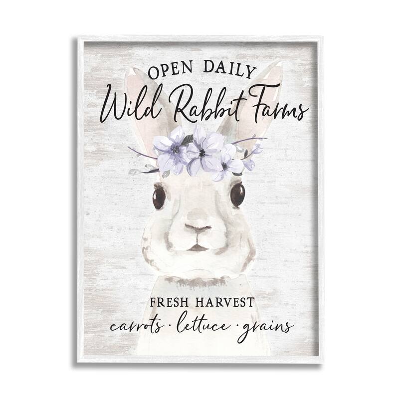 Stupell Wild Rabbit Farms Weathered Floral Crown Sign Framed Wall Art - White - 16 x 20 - White